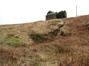 IMG_5130-s
