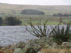 IMG_5137-s
